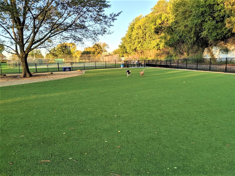 Brittingham Dog Park